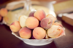 peaches-wedding-gina